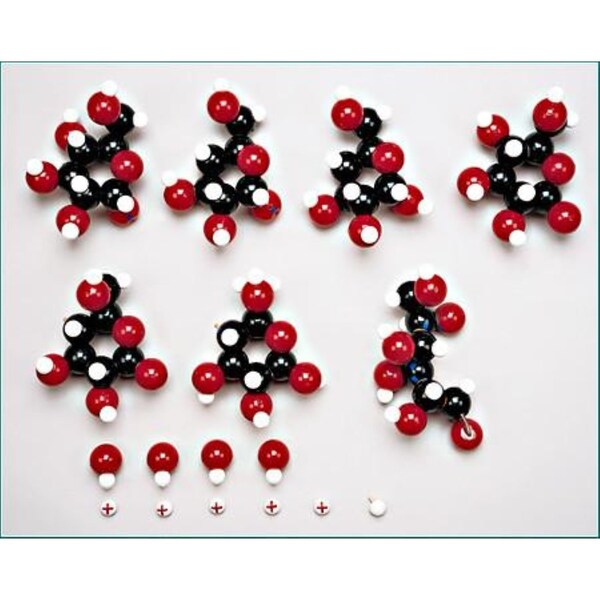 Chemical Models, Starch And Cellulose Set
